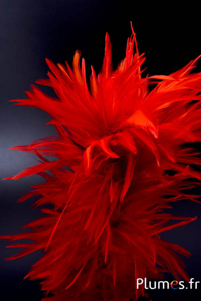 Pluim haan met ring - hoogte 40 cm - bloedoranje